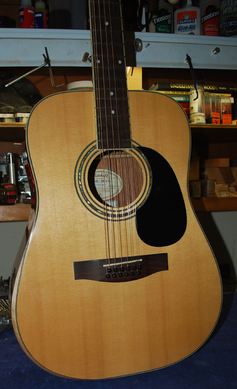 mitchell 12 string